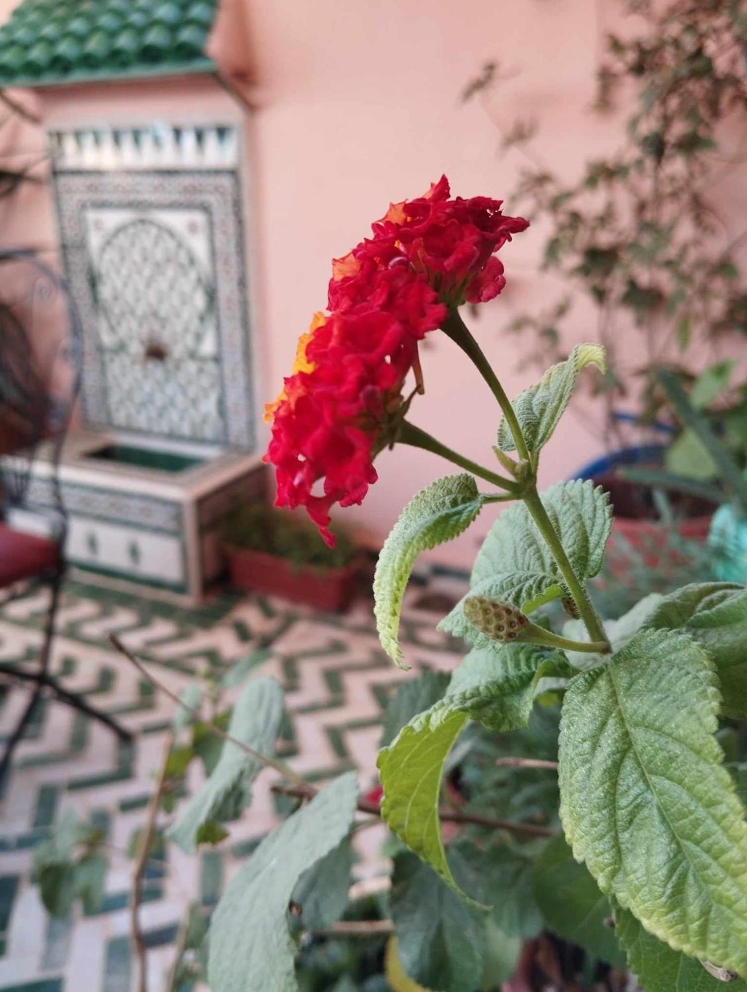 Dar Lantana Hotel Fez Exterior foto